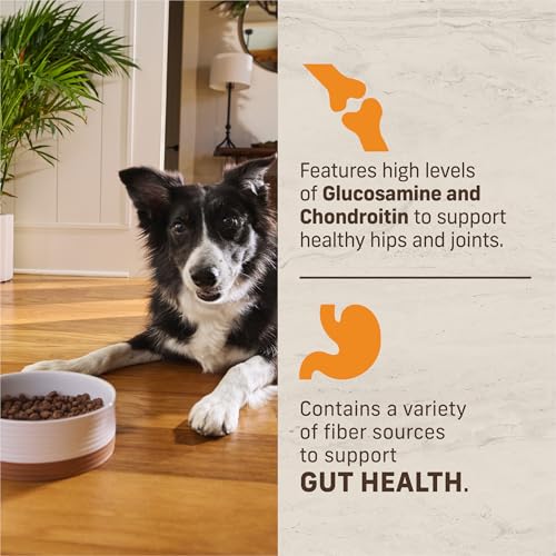 Kitchen Comforts Premium Adult Dry Dog Food (12 Pound (Pack of 1))