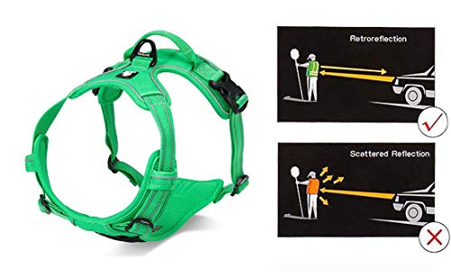 Truelove No Pull Dog Harness with Easy Control Handle and 2 Leash Attachments (Large / Grass Green)