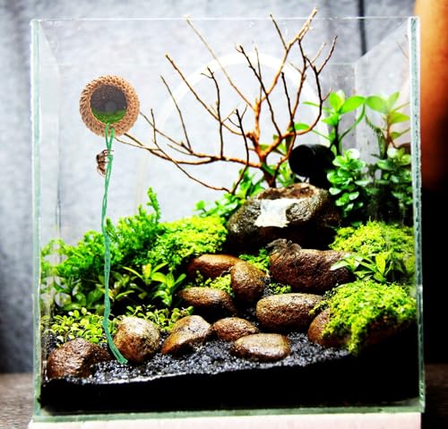 1 Pcs Jumping Spider Accessories