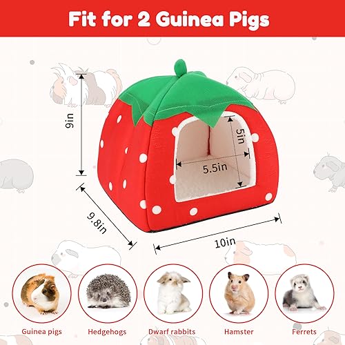 Guinea Pig Bed Hideout (Strawberry Red)