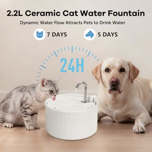 Ceramic Cat Water Fountain