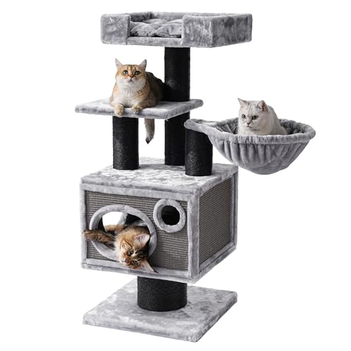 Maine Coon Cat Tree for Indoor Cats Large Adult (Dark Gray)