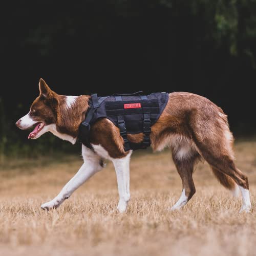 No Pull Dog Harness for Small Dog (Black / S)