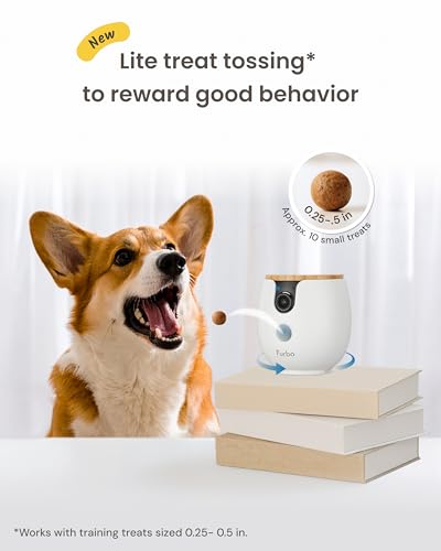 Mini 360° Camera [Core Features (Mini 360° Camera / No Subscription Required)