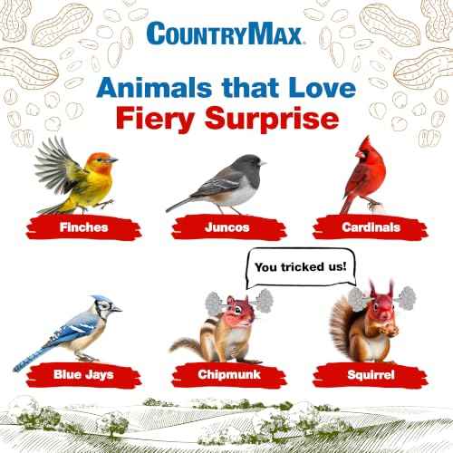Backyard Seeds 14LB Fiery Surprise Spicy Bird Seed Blend (Fiery Surprise / 14 Pound (Pack of 1))