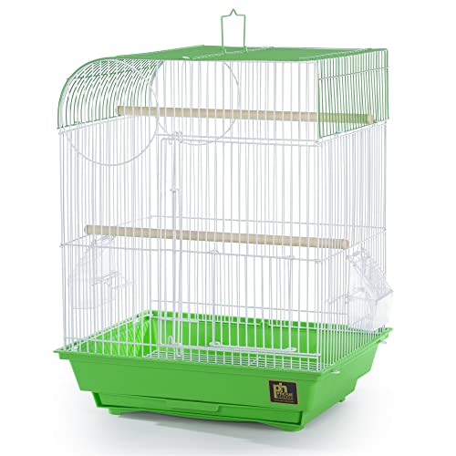 South Beach Flat Top Bird Cage (Lime Green / 10.6"L x 0.5"W x 18.0"H)