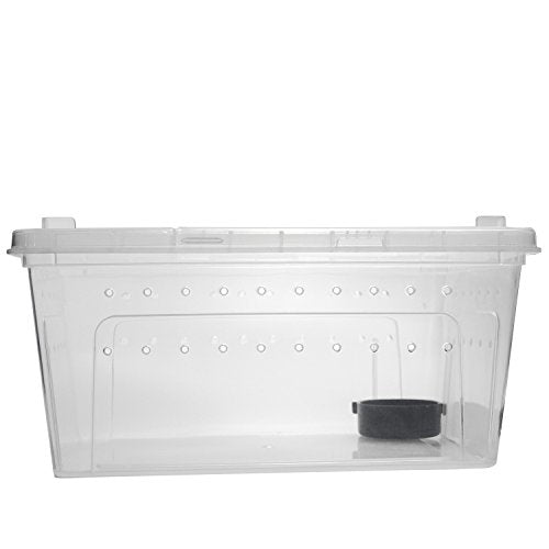 Portable Reptile Terrarium Habitat for Mini Pet Houses Breathable Holes Stackable Container (1PCS-Clear-L)