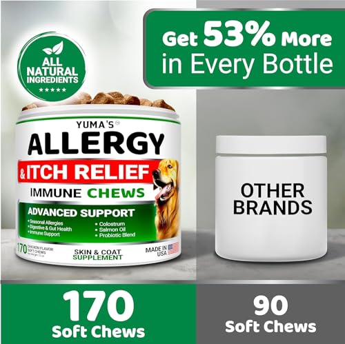 2 Pack) Dog Allergy Relief Chews - 340 Ct - Dog Itching Skin Relief Pills (Value 2-Pack (340 Chews))