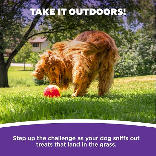 Nina Ottosson Treat Tumble Dog Toy Puzzle Ball (1 Count (Pack of 1))