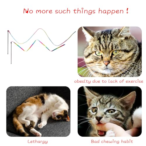 Cat Wand Toys Interactive Kitten Toys for Indoor Cats (2 PCS)