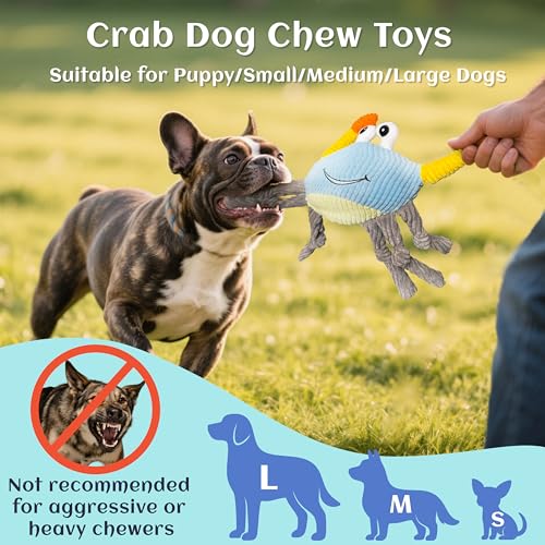 Dog Toys for Aggressive Chewers