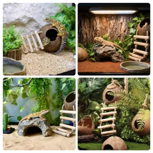 Leopard Gecko Tank Accessories. Reptile Hammock Vines Plants with Coconut Shell Ladder Hideout Hermit Crab Decor for Bearded Dragon Lizard Chameleon Crested Gecko Tortoise Snake (Large with Water Dish)