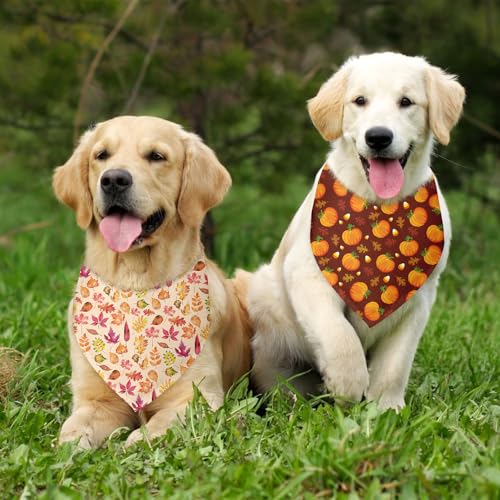 Fall Dog Bandana 2 Pack Funny Fall Holiday Dog Bandanas Halloween Thanksgiving Bandana for Dogs Lover Pet Scarf Accessories Pet Scarf for Small Medium Dogs & Cats (F)
