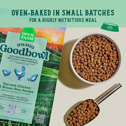 Goodbowl Dry Dog Food (22 Pound (Pack of 1))