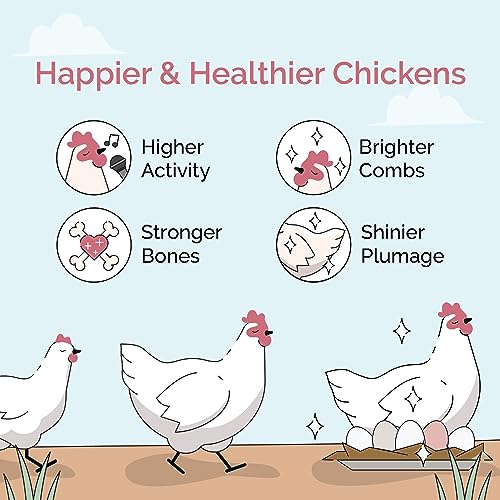 Chicken Grit Layer & Grower (50 Pound (Pack of 1))