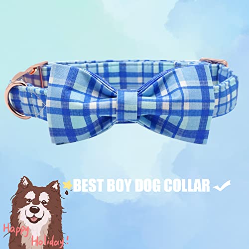 Dog Collar with Bow (Blue Plaid / Medium (Pack of 1))