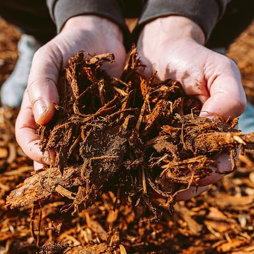 Premium Cypress Mulch for Landscaping (1 CF - 28 L - 30 QTS / Cypress Mulch Blend)