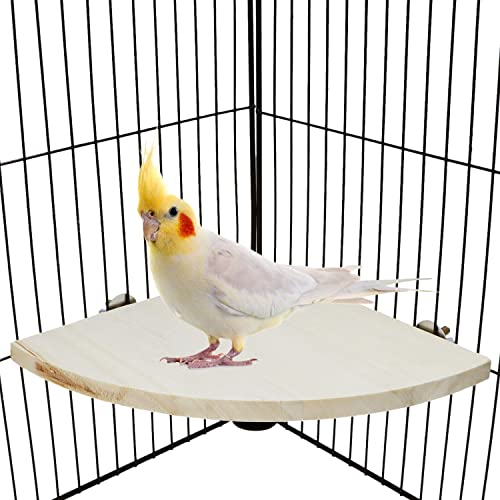 Bird Perch Stand 2 Pack Wooden Platform Corner Ledge for Budgies Cockatiels Conures African Greys Rats Gerbils Chinchillas Squirrels