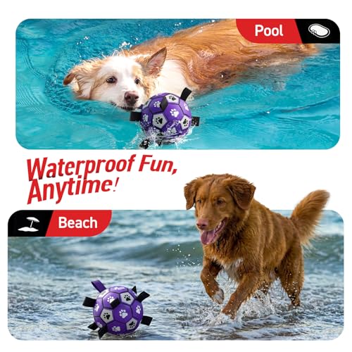 Soccer Ball for Dogs with Straps (Purple White / 8 Inch)