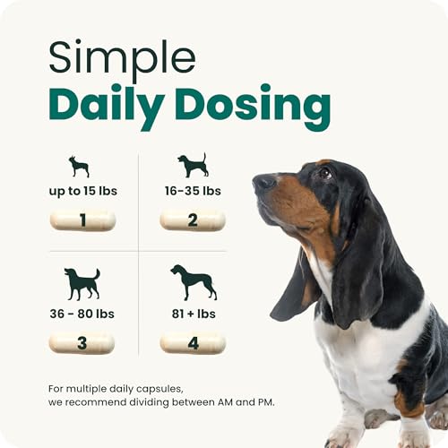 Healthy Spine & Disc for Dogs (180 Capsules)