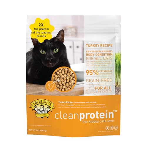cleanprotein Turkey Cat Kibble 6.6 lb Bag (6.6 Pound (Pack of 1))
