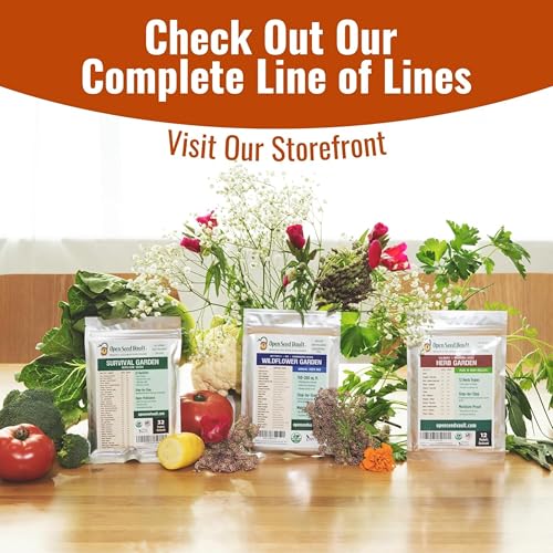 Herb Seeds 12 Packs