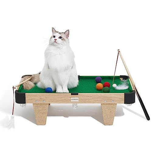 4 in 1 Cat Toys Mini Pool Table (Pool table)