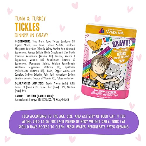 B.F.F. OMG Best Feline Friend Oh My Gravy! (3 Ounce (Pack of 12))