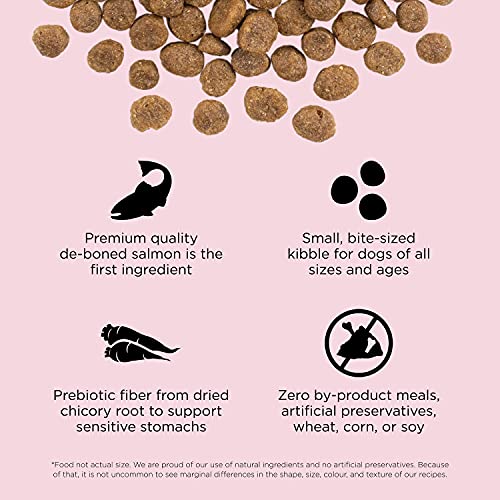 Sensitivities Limited Ingredient Small Bites Salmon Grain (22 Pound (Pack of 1))