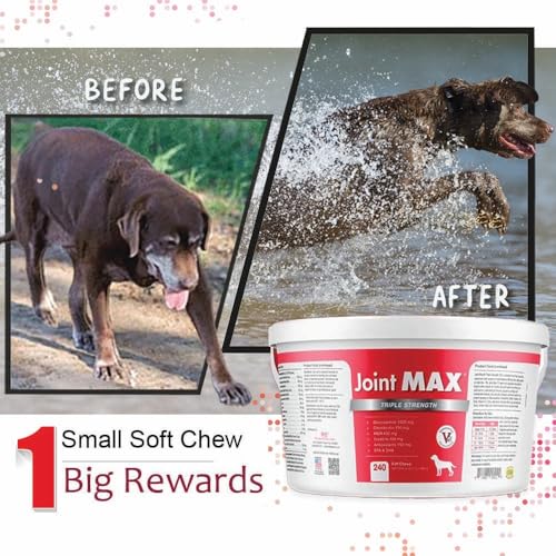 TS Joint Supplement Vet Formulated Pain & Inflammation Relief Treats Hip Dysplasia & Arthritis.Glucosamine (240 Soft Chews)