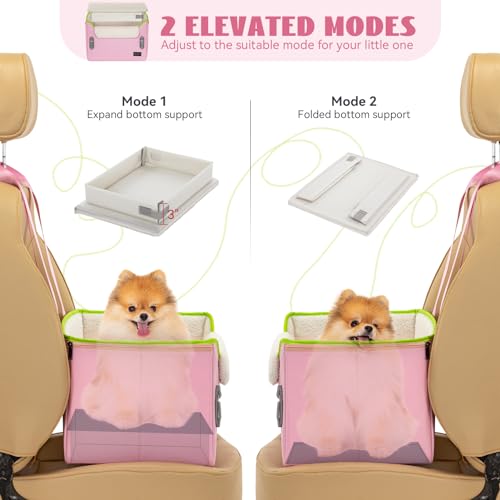 Small Dog Car Seat