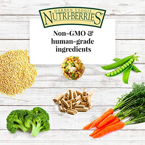 Gourmet Garden Veggie Nutri (10 Ounce (Pack of 1))