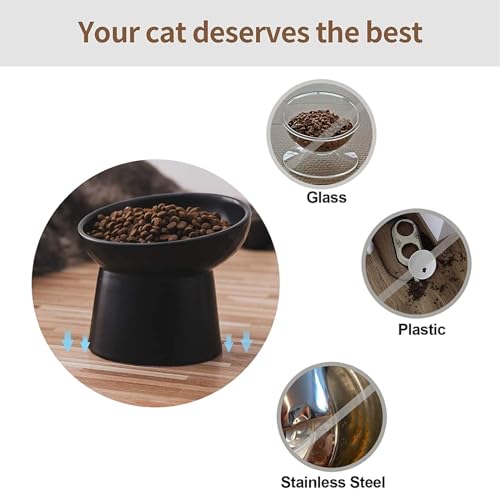 Elevated Cat Bowls (Black / 6.2 Inch (Pack of 2))