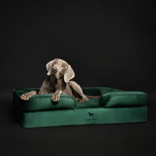 Large Dog Bed (Dark Green - VE / X-Large)