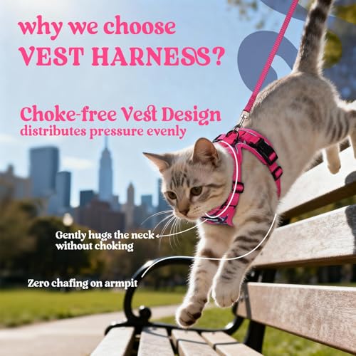 Cat Harness and Leash Set (M / Coconut Fuchsia)