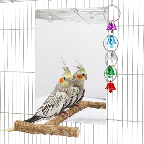 Bird Mirror Toy with Perch Stand (7.9 × 6.3 Inch)