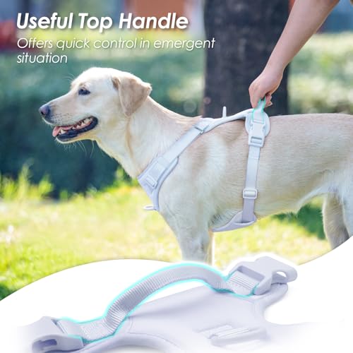 No Pull Dog Harness for Small Sized Dogs (Light Blue / XS(Neck:11.8-16.5", Chest:14.2-19.7"))