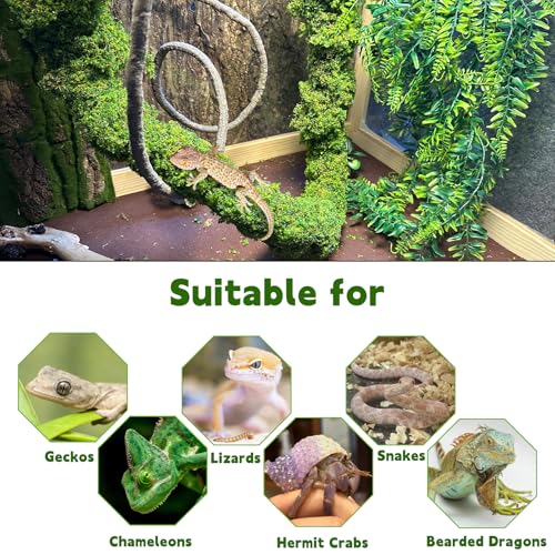 Reptile Plants (3Pcs | Style: 43in Rainforest Vines)