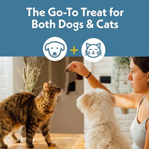Freeze Dried Dog Treats