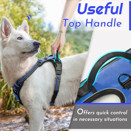 Dog Harness for Large Dogs (X-large / Blue)