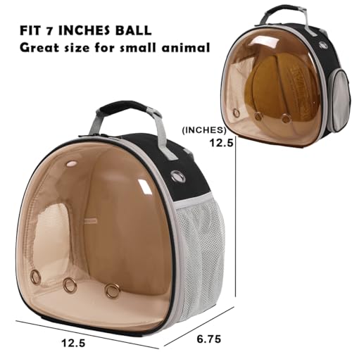 Bearded Dragon Travel Backpack with Harness and Leash Set (Black/Brown)