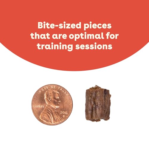 Soft & Chewy Training Treats for Dogs & Puppies (10 Ounce (Pack of 1))