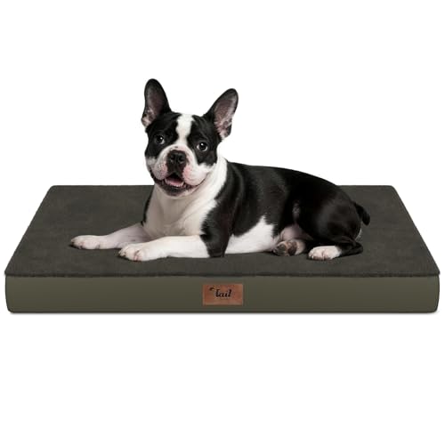 Orthopedic Waterproof Dog Bed for Small Dogs and Cats (Coffee / 29.0"L x 18.0"W x 3.0"Th)
