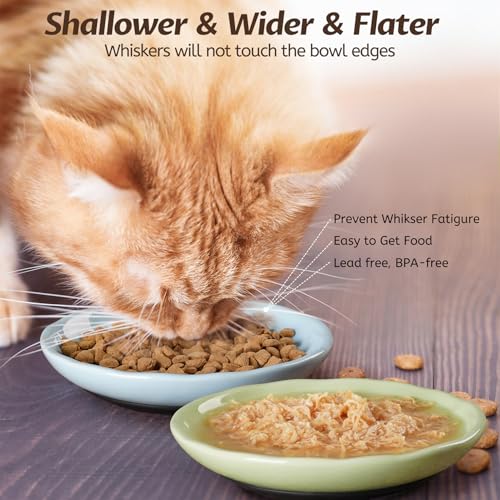 Non Slip Cat Food Bowl (Wave-4 Pack)