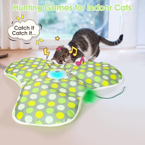 Interactive Cat Toys for Indoor Cats & Kittens (Green)