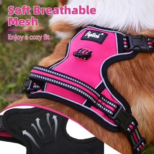 No Pull Dog Harness for Large (Fuschia / X-Large)