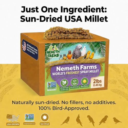 Spray Millet Edible Tops Only (2 Pound (Pack of 1))