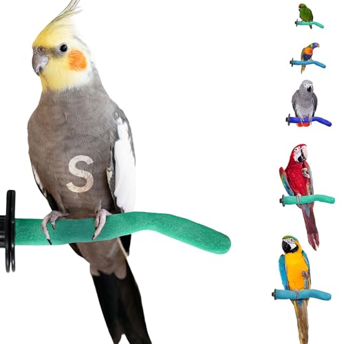 Safety Pumice Bird Perch (Green / Small 8")