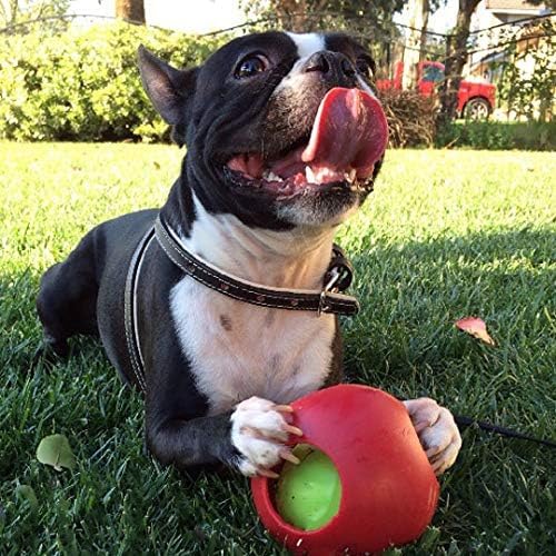 Teaser Ball Interactive Dog Toy (Red / Small (4.5 in))