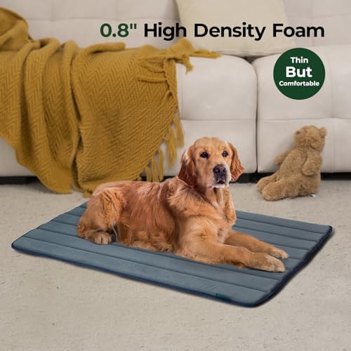 Dog Crate Pad (48.0"L x 30.0"W x 0.8"Th / Dusty Blue, 2 Packs)